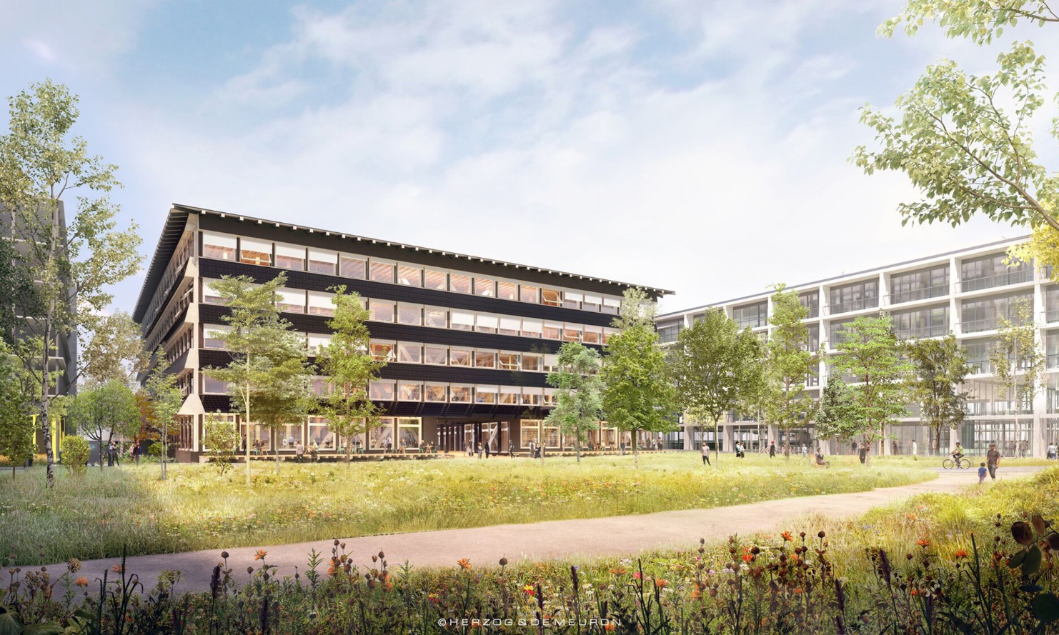 Hortus office building in timber construction with green surroundings 
