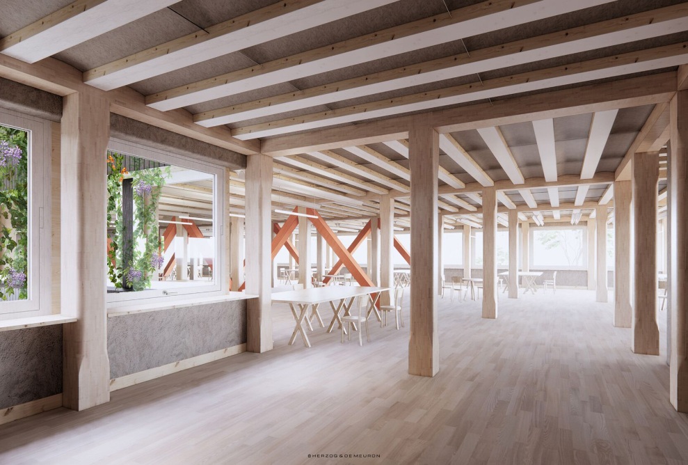 Interior of the Hortus office building with wooden construction 